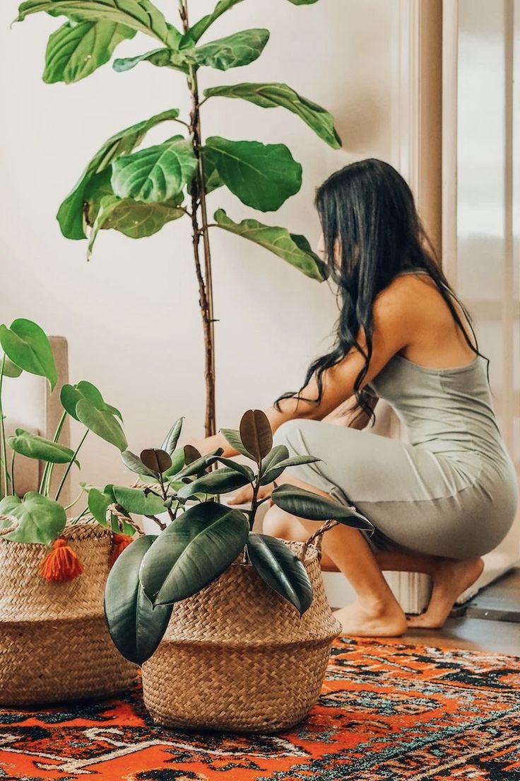 Low-Light Heroes: Best Plants for Dark Corners